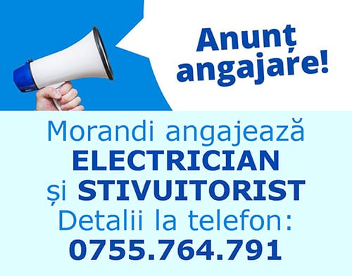 spot_img
